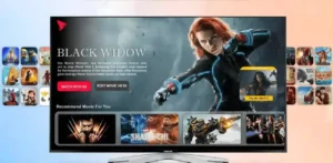 IPTV en France